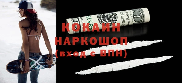 дживик Ельня