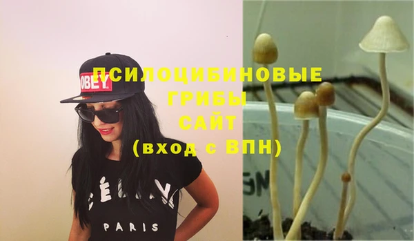 гашиш Дмитриев