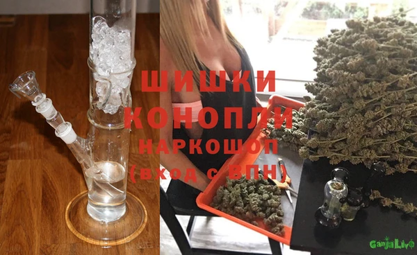 гашик Зеленокумск