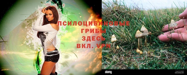 героин Елабуга