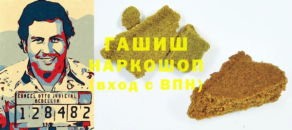 дживик Ельня