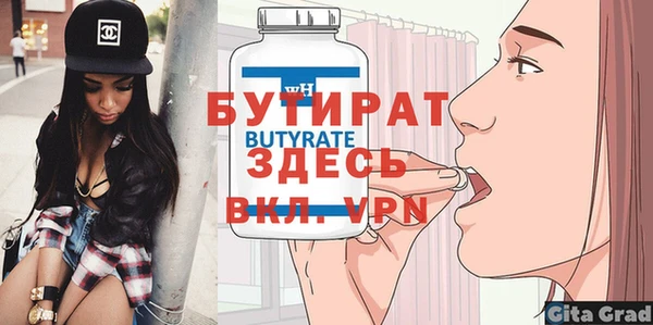 дживик Ельня
