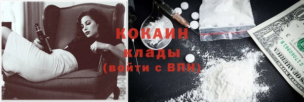 дживик Ельня