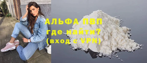дживик Ельня