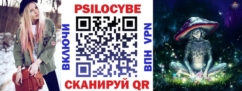 блэк спрут tor Дорогобуж Галлюциногенные грибы мицелий